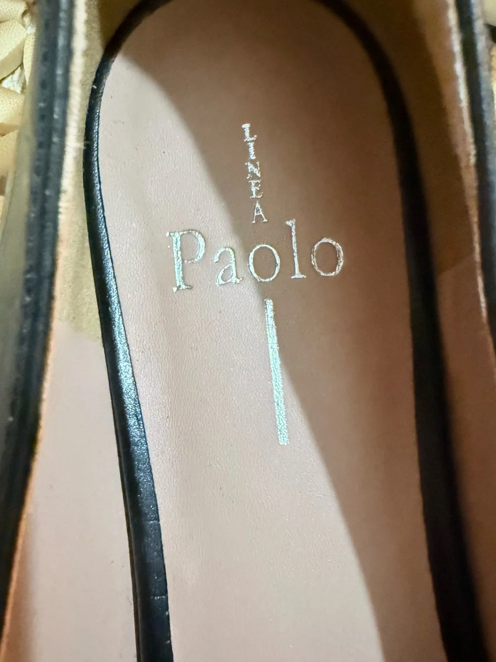 Paolo minimal croc